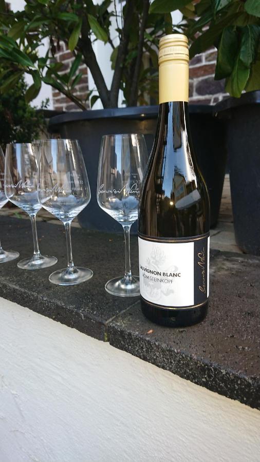 Ferienweingut Serwaziwein Мезених Экстерьер фото